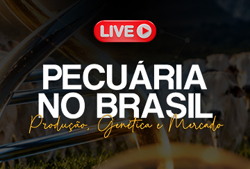 LIVE PECUÁRIA NO BRASIL - PRODUÇÃO GENÉTICA E MERCADO